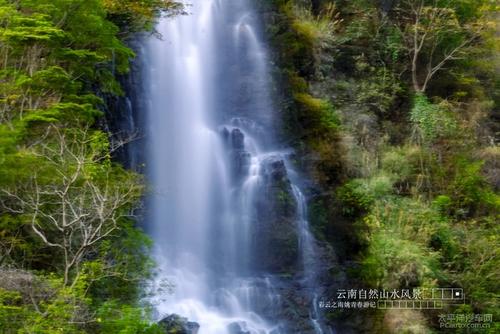 高中生物专题练习：胚胎工程与生态工程