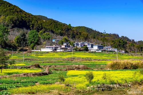 湖北的“三大药库”知道吗？里面全是宝贝