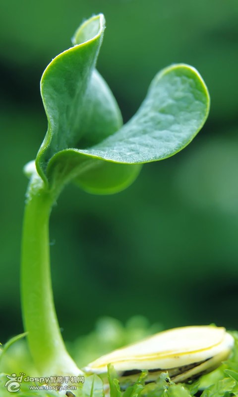 投融资周报 | 腾讯加深游戏布局投资飞鱼 薄荷健康完成D轮融资