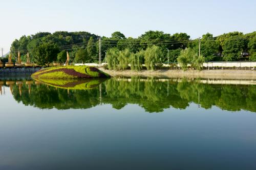 生物选修3人教新课标3.2 体外受精和早期胚胎培养